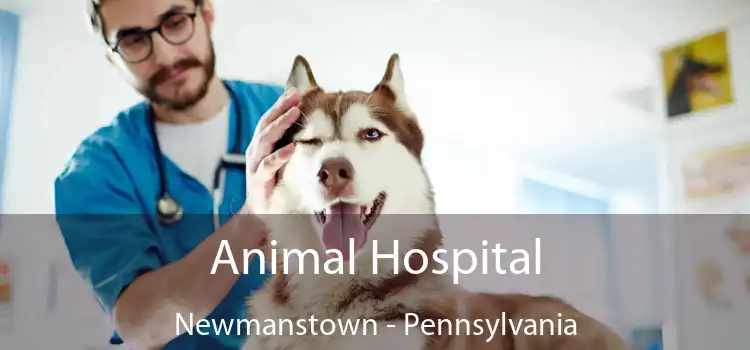 Animal Hospital Newmanstown - Pennsylvania