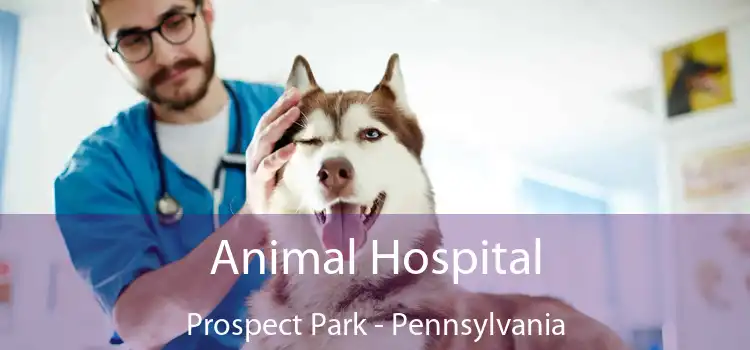 Animal Hospital Prospect Park - Pennsylvania