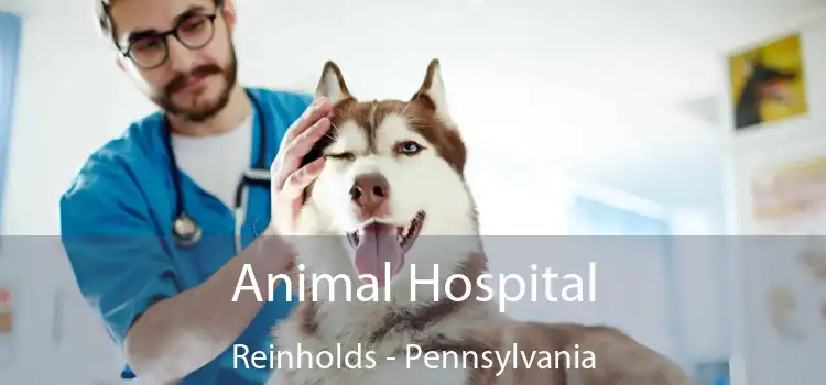 Animal Hospital Reinholds - Pennsylvania