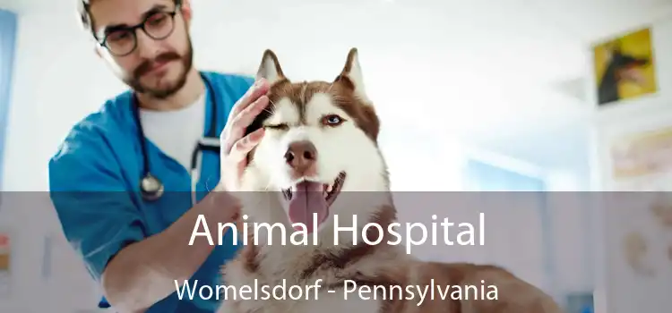 Animal Hospital Womelsdorf - Pennsylvania