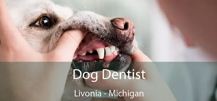 Dog Dentist Livonia - Michigan