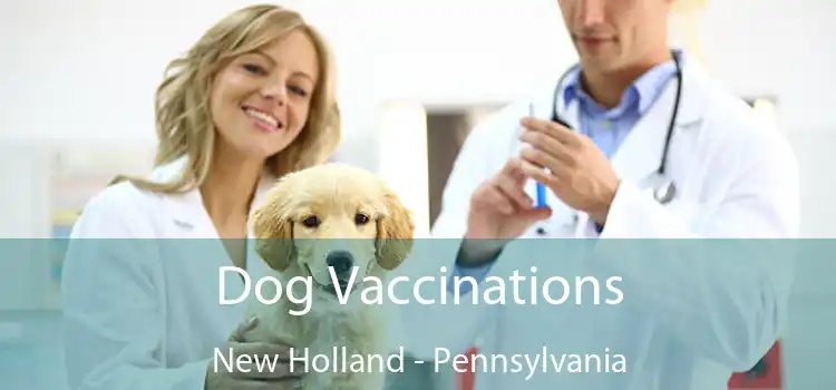 Dog Vaccinations New Holland - Pennsylvania