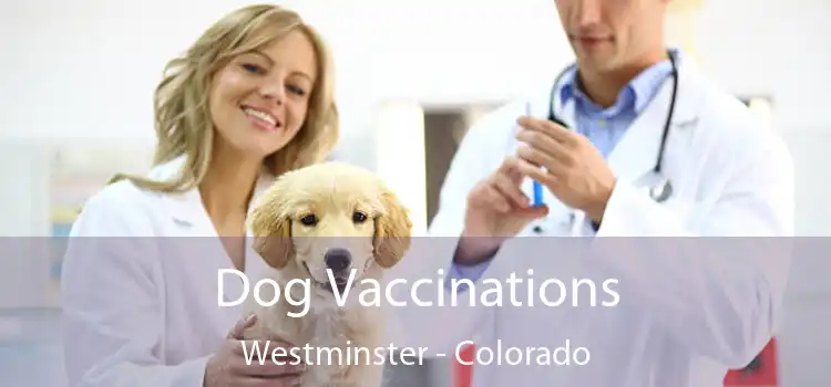 Dog Vaccinations Westminster - Colorado