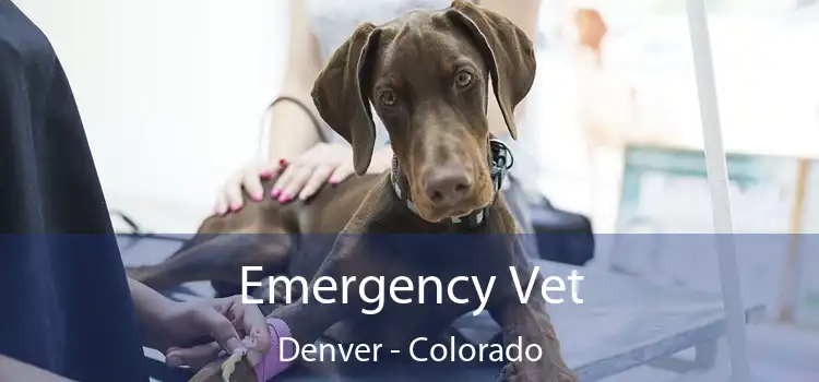 Emergency Vet Denver - Colorado