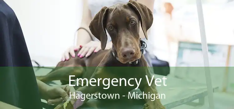 Emergency Vet Hagerstown - 24 Hour Emergency Vet Near Me