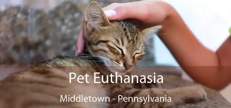 Pet Euthanasia Middletown - Pennsylvania