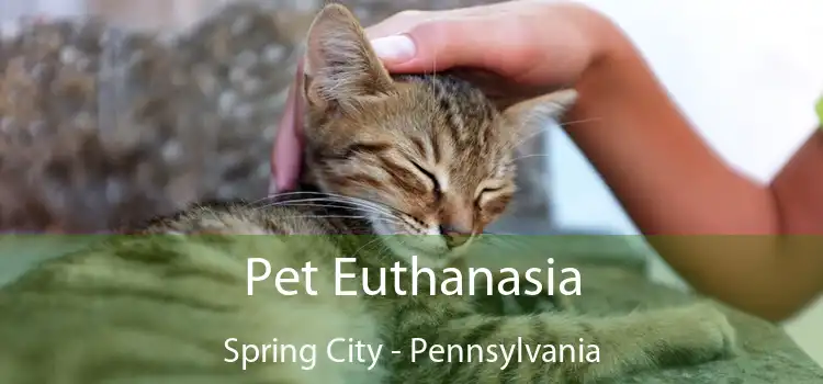 Pet Euthanasia Spring City - Pennsylvania