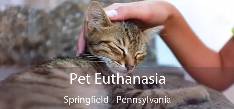 Pet Euthanasia Springfield - Pennsylvania