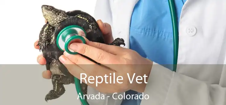 Reptile Vet Arvada - Colorado