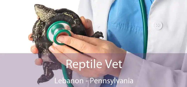 Reptile Vet Lebanon - Pennsylvania