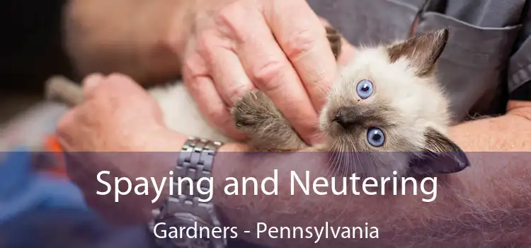 Spaying and Neutering Gardners - Pennsylvania