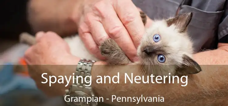 Spaying and Neutering Grampian - Pennsylvania