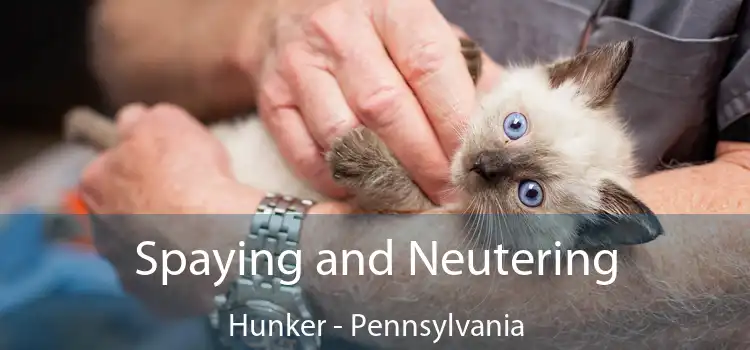 Spaying and Neutering Hunker - Pennsylvania