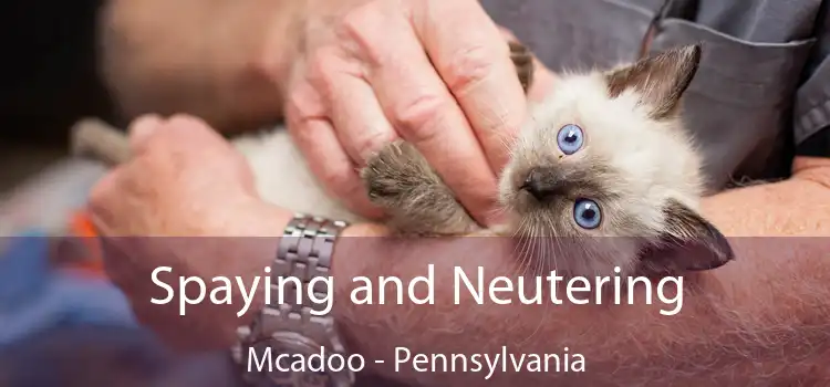 Spaying and Neutering Mcadoo - Pennsylvania