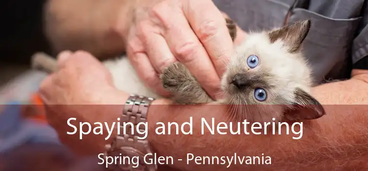 Spaying and Neutering Spring Glen - Pennsylvania